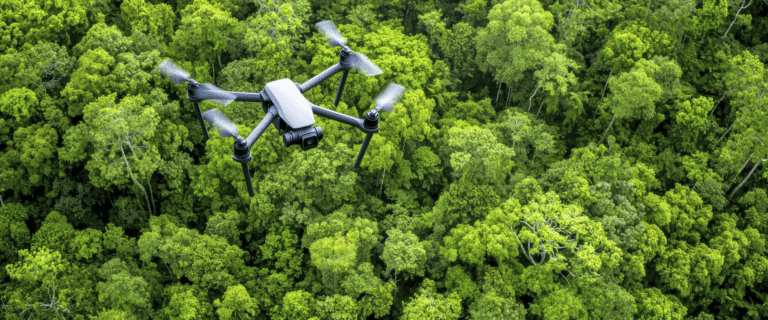 Drone flying above trees