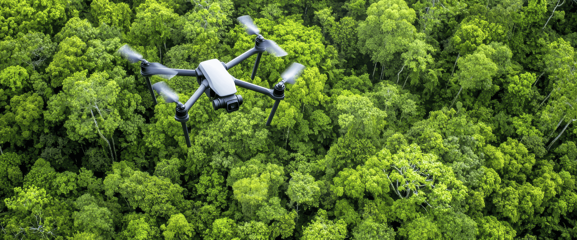 Drone flying above trees