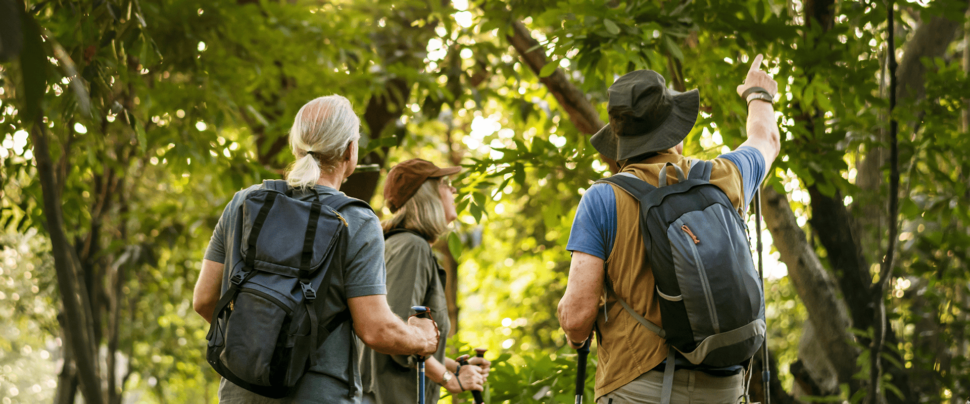 People in forest.